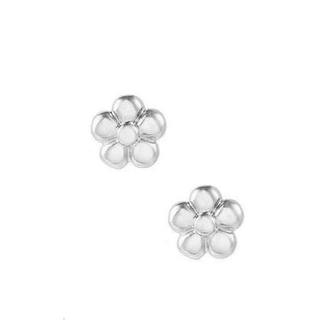 A Pair of Silver Earrings